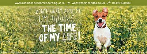 Canine & Co - Home Dog Boarding photo